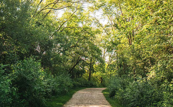 Små haveredskaber med træhåndtag lagt på groft jutestof.